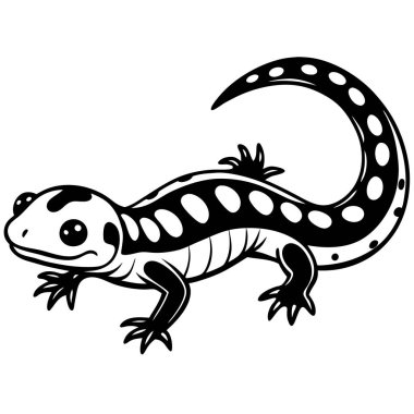 Kırmızı lekeli Newt vektör çizimi beyaz arkaplan