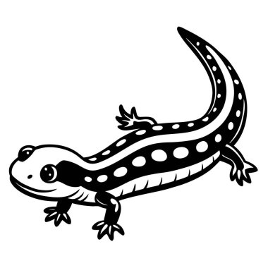 Kırmızı lekeli Newt vektör çizimi beyaz arkaplan
