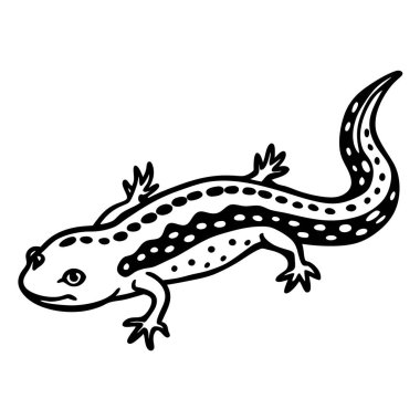Kırmızı lekeli Newt vektör çizimi beyaz arkaplan