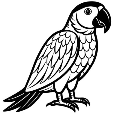 Kırmızı Macaw vektör çizimi beyaz arkaplan