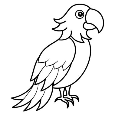 Kırmızı Macaw vektör çizimi beyaz arkaplan