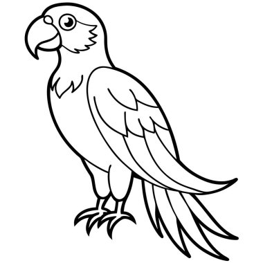 Kırmızı Macaw vektör çizimi beyaz arkaplan