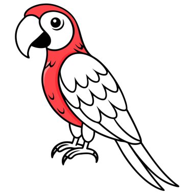 Kırmızı Macaw vektör çizimi beyaz arkaplan