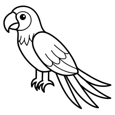 Kırmızı Macaw vektör çizimi beyaz arkaplan