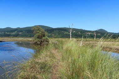 İspanya 'nın Bask Bölgesi' ndeki Mundakako İtsasadarra Deltası 'nın sulak alanları, yemyeşil bitki örtüsü ve yansıtıcı su yolları. Manzaralı bir yol Delta 'nın zengin biyolojik çeşitliliğine huzurlu bir bakış sağlar..