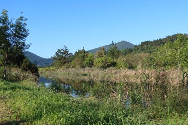 Mundakako İtsasadarra Nehri, İspanya 'nın Bask Bölgesi' ndeki Urdaibai Reserve 'den geçer. Yeşil tepeler tarafından çerçevelenmiş ve önplanda uzun otlar, doğal çevrenin güzelliğini yansıtıyor.