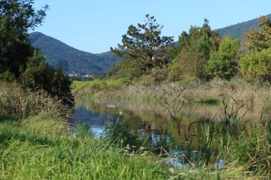Mundakako İtsasadarra Nehri, İspanya 'nın Bask Bölgesi' ndeki Urdaibai Reserve 'den geçer. Yeşil tepeler tarafından çerçevelenmiş ve önplanda uzun otlar, doğal çevrenin güzelliğini yansıtıyor.