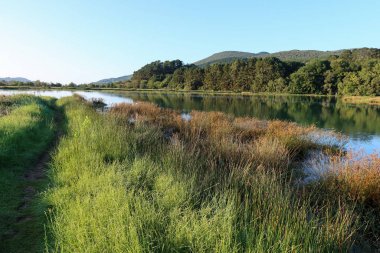 Mundakako İtsasadarra Nehri, İspanya 'nın Bask Bölgesi' ndeki Urdaibai Reserve 'den geçer. Yeşil tepeler tarafından çerçevelenmiş ve önplanda uzun otlar, doğal çevrenin güzelliğini yansıtıyor.