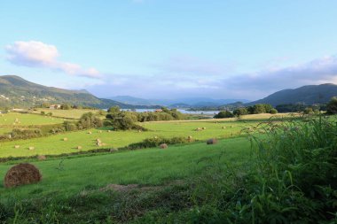 The Mundakako Itsasadarra River flows through the peaceful village of Busturia. In early autumn, bales of hay dot the green meadows in the foreground, lush wooded hills in background. Basque Country clipart