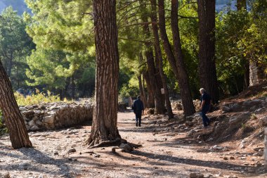 Güneşli bir günde Türkiye 'nin Olimpos kentindeki Antik Harabeler Arasında Ağaçlar Arasında Yürüyen Ziyaretçiler