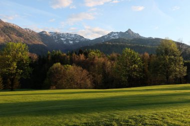 Salzkammergut Üzerine Altın Saat: Avusturya 'da Rinnkogel Dağı' nın Orman Yamaçlarının Arkasındaki Manzarası ve Bereketli Bahar Çayırı