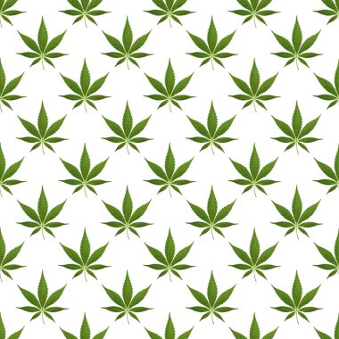 Yeşil Gerçekçi Kenevir Yaprağının Kusursuz Desenli Raster çizimi