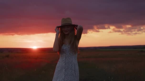 一个心情愉快的小女孩 在田野里美丽的夏日落日的映衬下翩翩起舞 玩得很开心 — 图库视频影像