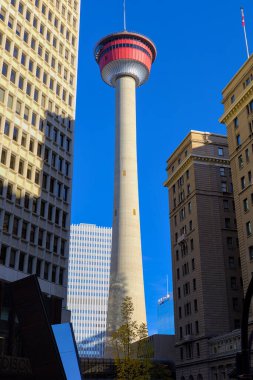 Düşük açı ve perspektiften Calgary Kulesi