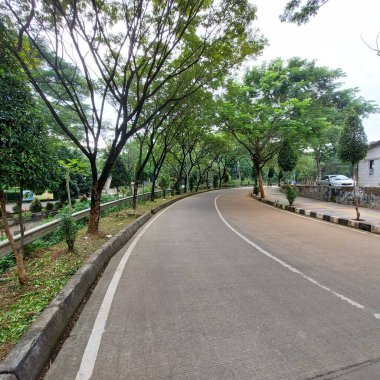 Yan tarafında sık ağaçlar olan boş bir sokak.