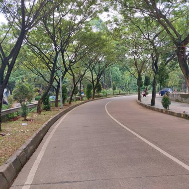 Yan tarafında sık ağaçlar olan boş bir sokak.