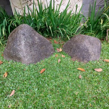 Bahçede oturmak için kullanılabilecek bir taş.