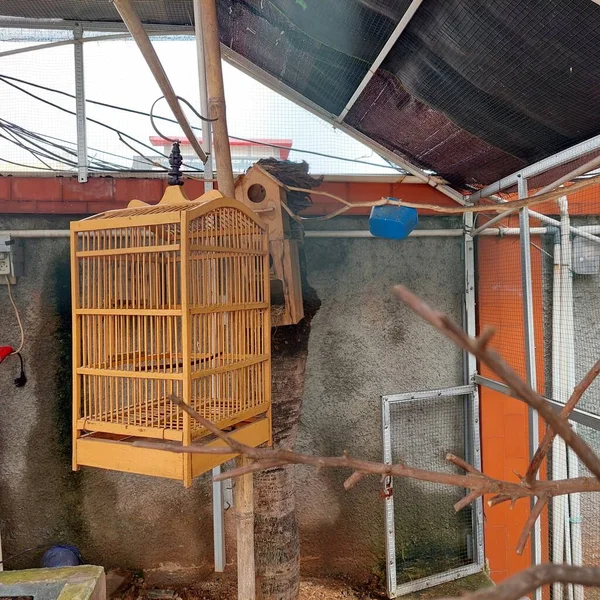 Tik ağacından yapılmış kuş kafesi