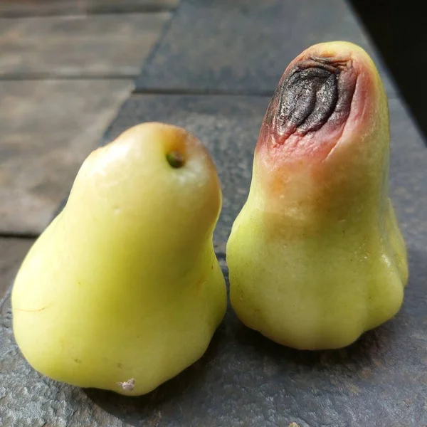 Guava Φρούτα Που Εκτίθενται Παράσιτα Και Ασθένειες — Φωτογραφία Αρχείου
