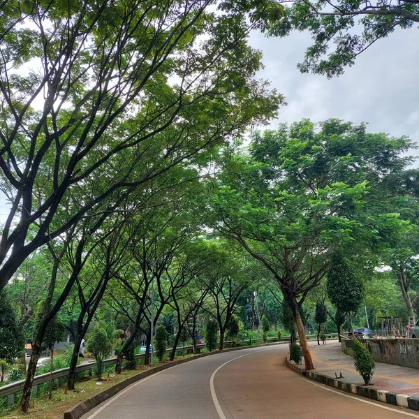 Lege Straat Met Dichte Bomen Aan Zijkant — Stockfoto