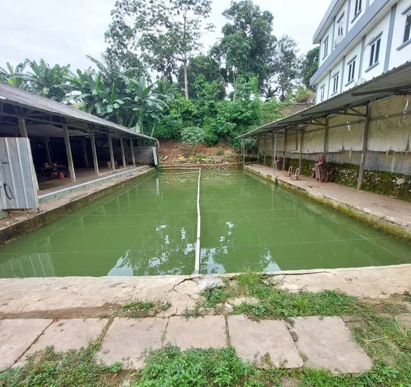 stock image fishing pond in the countryside