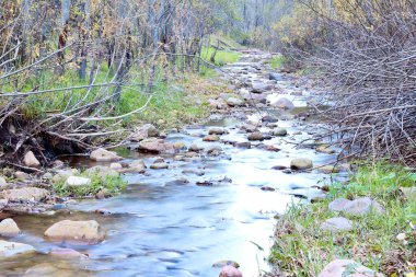 Tonto Creek, in the Tonto National Forest, originating under the Mogollon Rim, just east of the town of Payson, Arizona.  clipart