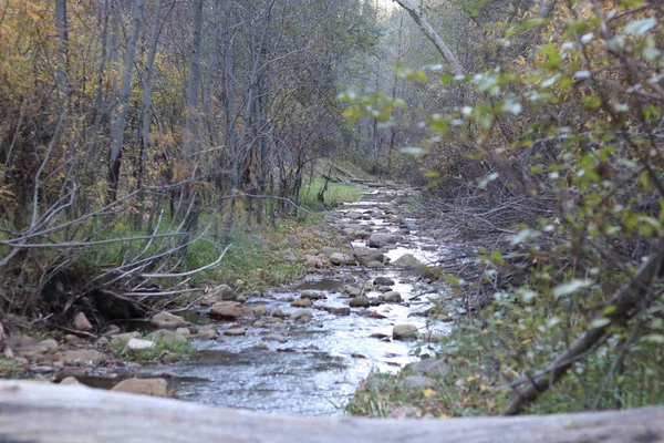 Tonto Creek Nella Foresta Nazionale Tonto Originario Del Mogollon Rim — Foto Stock