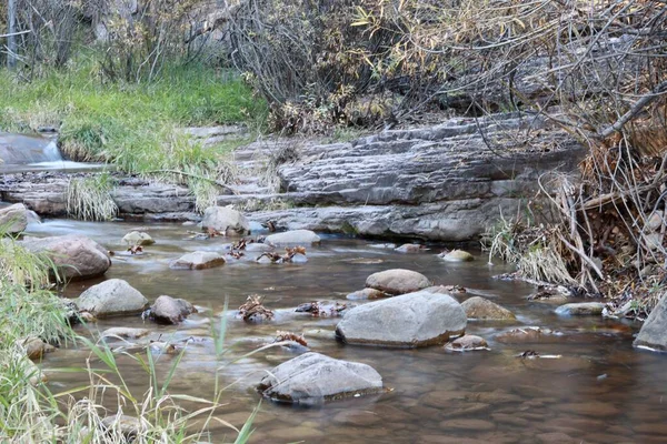 Tonto Creek Nella Foresta Nazionale Tonto Originario Del Mogollon Rim — Foto Stock