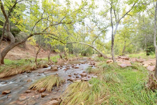 Rio East Verde Nos Arredores Payson Arizona Durante Início Outubro — Fotografia de Stock