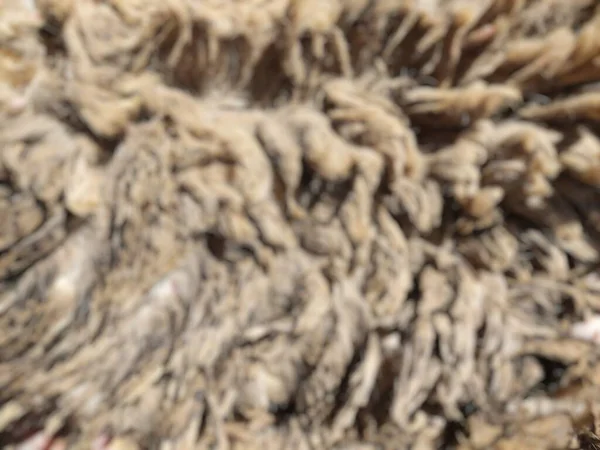 爪哇山羊褐色皮肤的水泡抽象背景 高角度拍摄 — 图库照片
