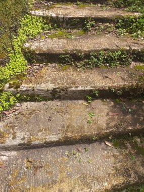 Açık hava, doğa, peyzaj kavramları için elverişli yosunlarla kaplı taş merdivenlerin resmi, doğal elementlerle huzurlu ve sakin bir atmosfer sağlıyor..