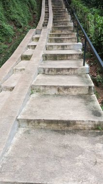 Çimento yeşili bitkiler tarafından çerçevelenmiş beton merdiven portresi, doğa ve zarafet gerektiren mimari veya bahçe temalı tasarımlar için mükemmel..