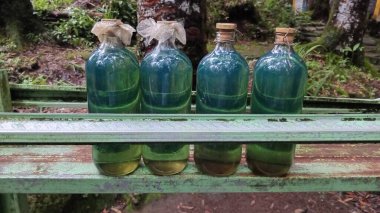 Bankta benzin yeşili cam şişeler. Enerji veya çevreyle ilgili içerik, yakıt, geri dönüşüm, çevre dostu, sürdürülebilirlik temaları için uygundur.