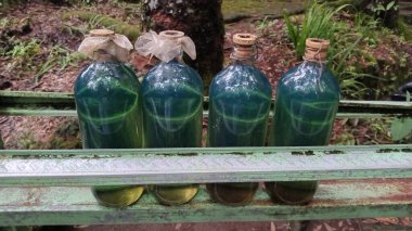 Yeşil bankta benzin dolu cam şişeler. Grafik tasarım projelerinde ya da sunumlarda ekolojik tehlike ya da yakıtla ilgili kavramlar için mükemmel.