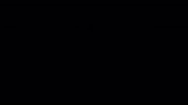 10 saniye geri sayım zamanlayıcısı kırmızı renk ve alfa kanalı ile metin animasyonunu karala. Hareket grafik projeleri için üst kaplama kullanımı için uygundur.