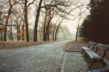Sonbaharın sonlarında, kışın güzel park manzarası