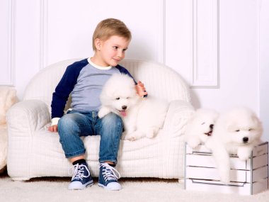 Gülümseyen üç yaşındaki küçük çocuk stüdyoda Samoyed 'in beyaz köpeğiyle oynuyor.