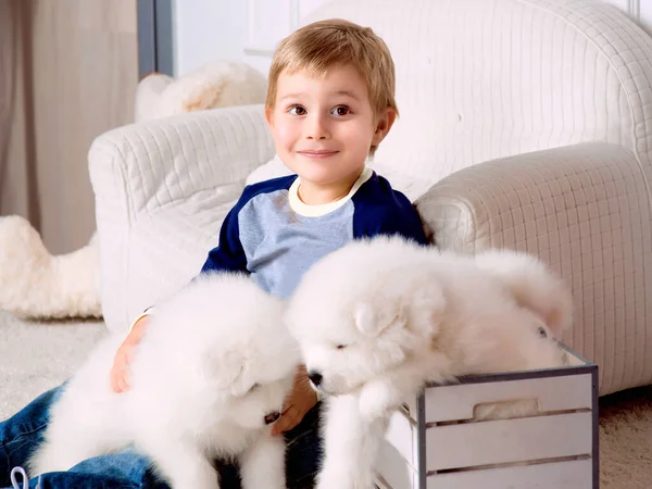 Smiling Little Three Years Old Boy Playing White Puppy Samoyed — Stock Photo, Image