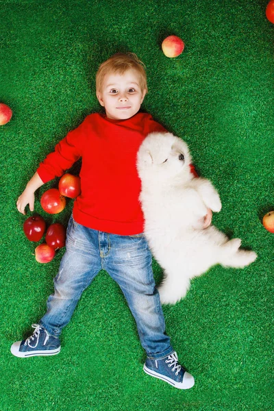 Smiling Little Boy Three Years Old Laying White Puppy Samoyed — Stock Photo, Image