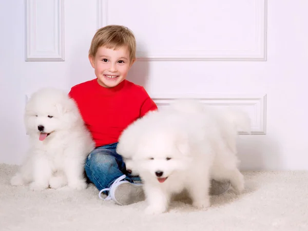 Smiling Little Three Years Old Boy Playing White Puppy Samoyed — Stock Photo, Image