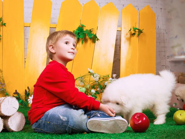 Smiling Little Boy Three Years Old White Puppy Samoyed Yellow — Stock Photo, Image