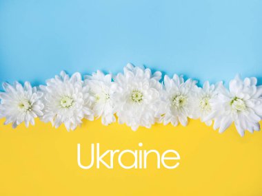 Blue and yellow background with white flowers on it. Stand with Ukraine