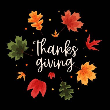 26 Kasım Şükran Günün kutlu olsun.