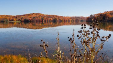 Sonbaharda New England gölü manzarası. Yüksek kalite fotoğraf