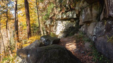 New England ormanında sonbahar. Yüksek kalite fotoğraf