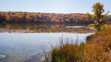 Sonbaharda New England gölü manzarası. Yüksek kalite fotoğraf