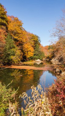 Sonbaharda New England gölü manzarası. Yüksek kalite fotoğraf