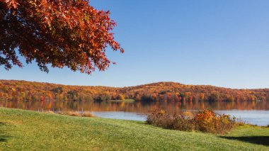 Sonbaharda New England gölü manzarası. Yüksek kalite fotoğraf