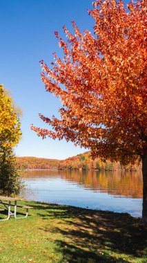 Sonbaharda New England gölü manzarası. Yüksek kalite fotoğraf