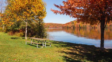 Sonbaharda New England gölü manzarası. Yüksek kalite fotoğraf